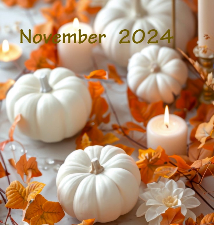 E-NEWS NOVEMBER